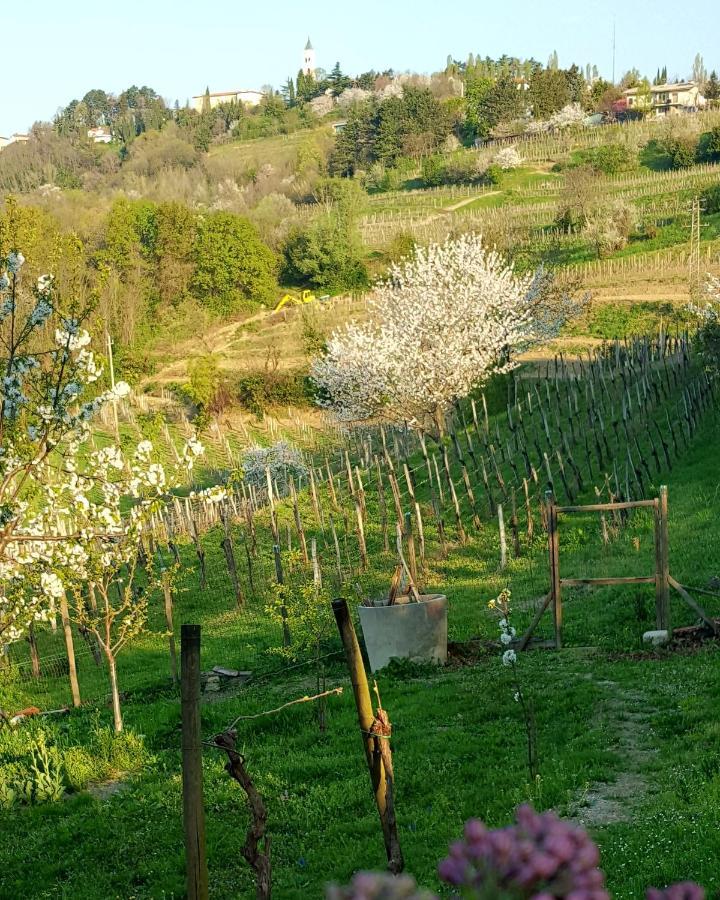 Casaroman San Floriano del Collio Ngoại thất bức ảnh
