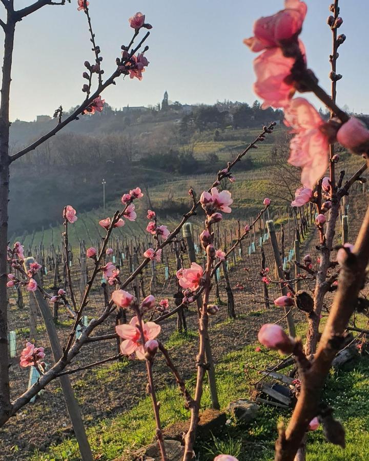 Casaroman San Floriano del Collio Ngoại thất bức ảnh