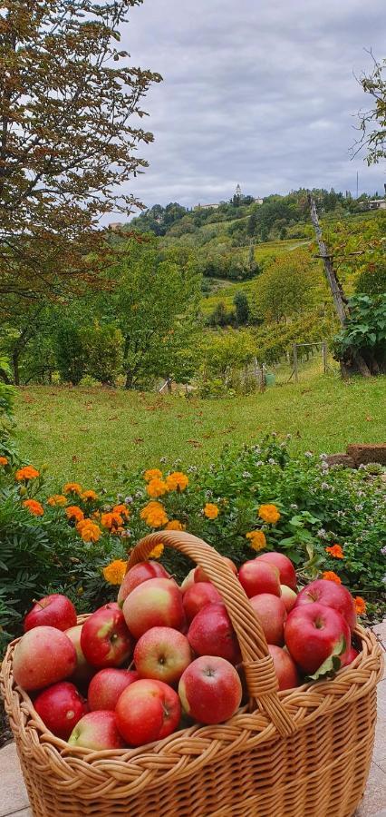 Casaroman San Floriano del Collio Ngoại thất bức ảnh