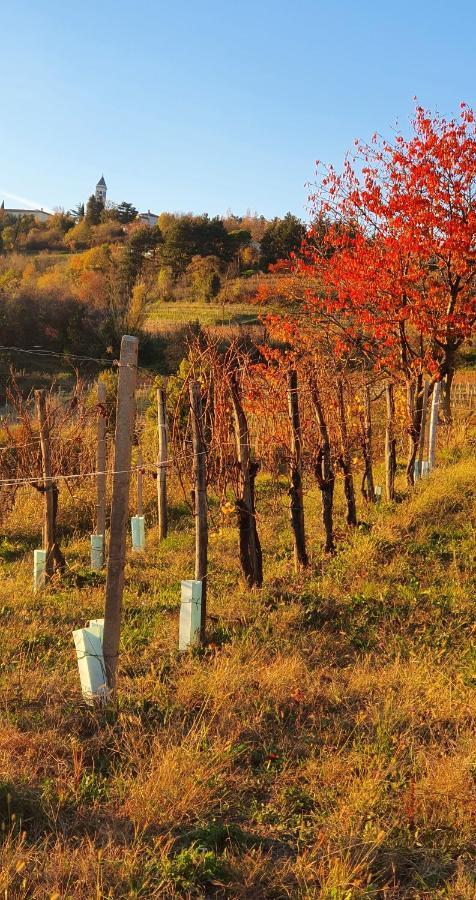 Casaroman San Floriano del Collio Ngoại thất bức ảnh